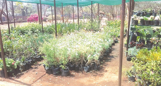 A home, garden show to remember