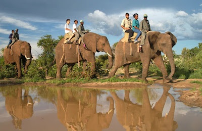 Retooling Africa’s tourism brand vital
