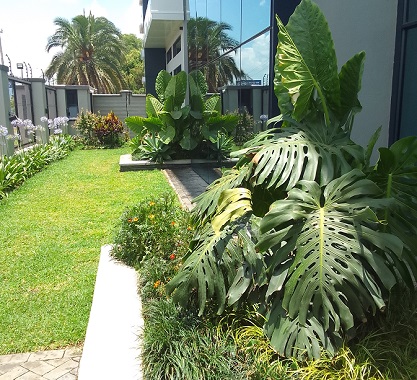 A typical modern landscape