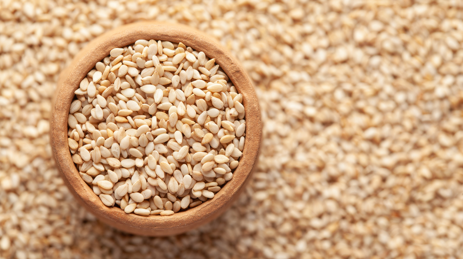 Sesame indaba in Harare focuses on growth, marketing strategies and financing for producers