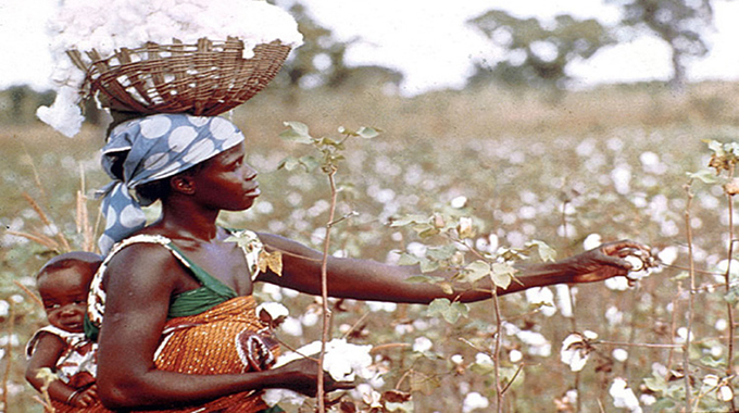 Unpacking cotton standards