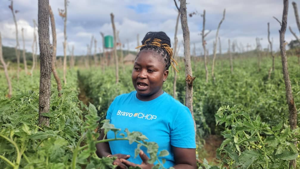 NEW: From vegetable vendor to farm owner