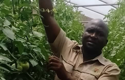 Mutoko processing plant eyes export markets