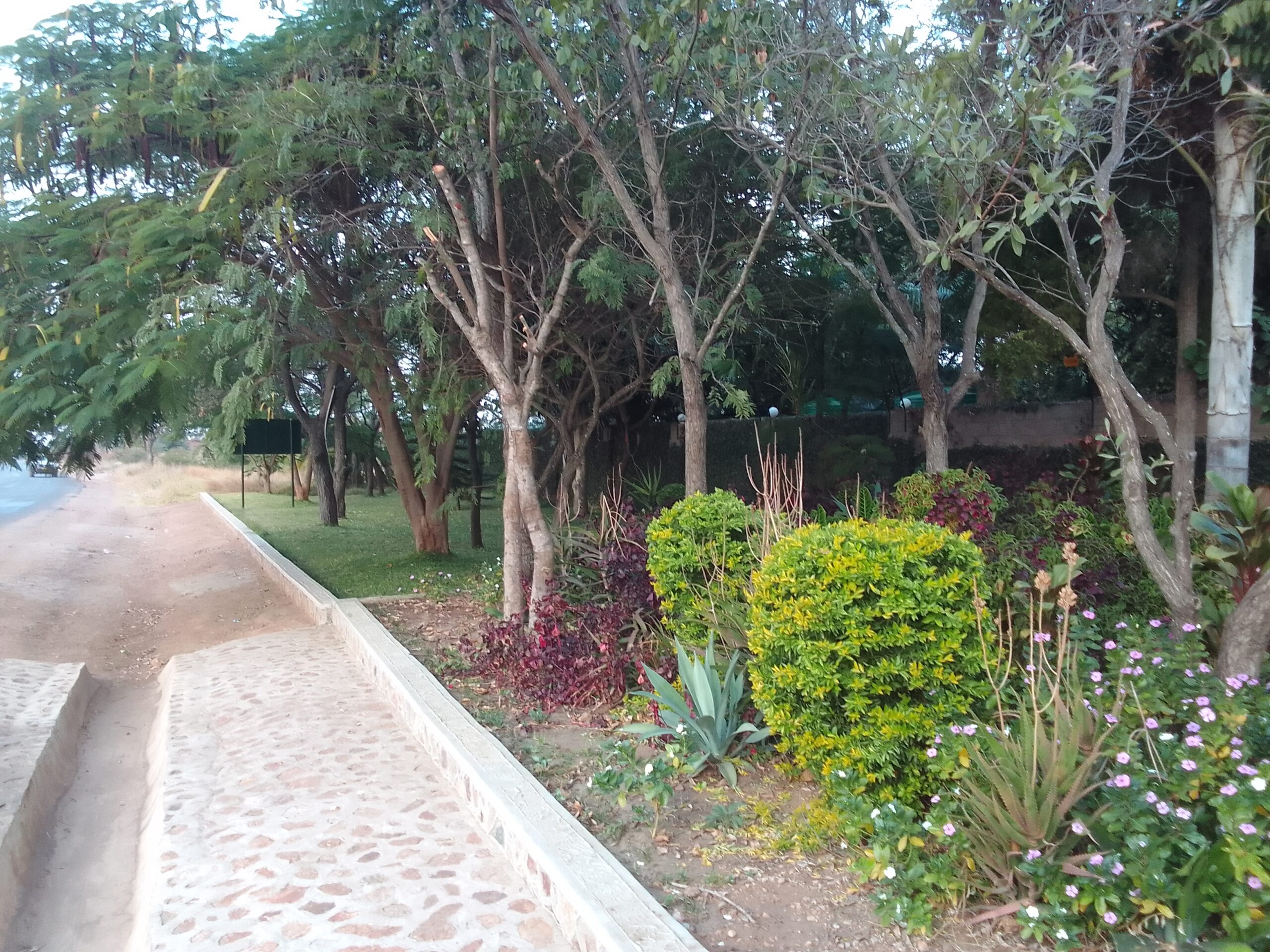 Where luxury meets nature