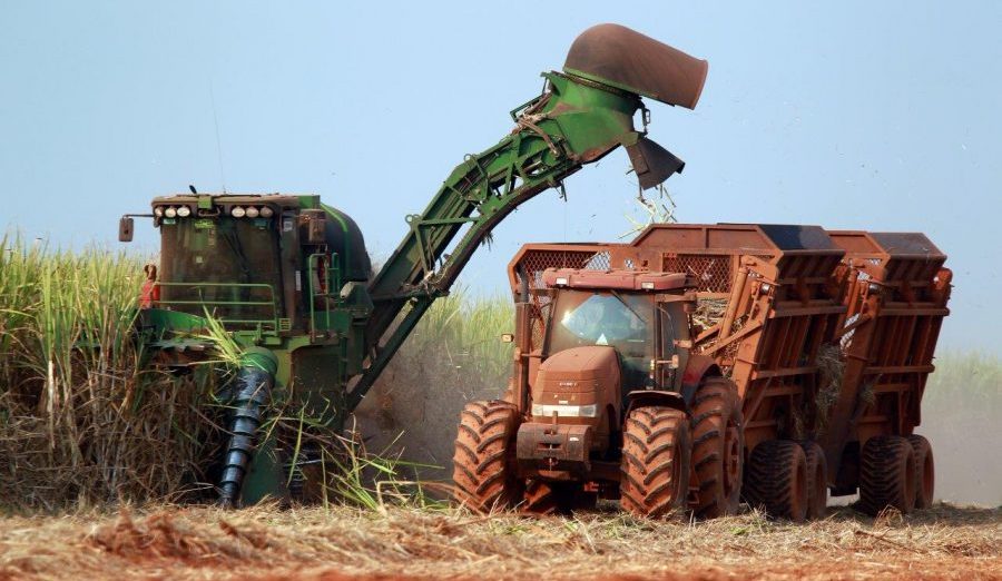 Carbon credits: Zimbabwe’s new cash crop