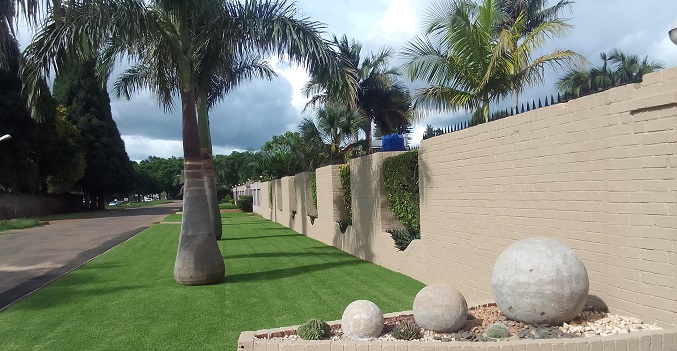 Choose the right grass for your yard