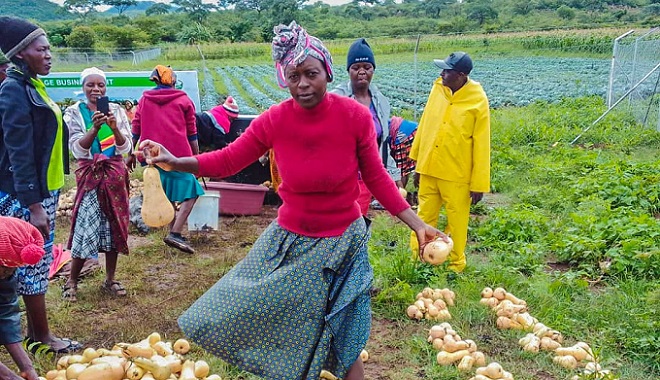 Seed of hope as Gwebu village business unit blossoms