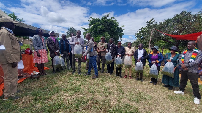 NEW: Farmers in Wedza receive 59 000 free fingerlings to boost aquaculture