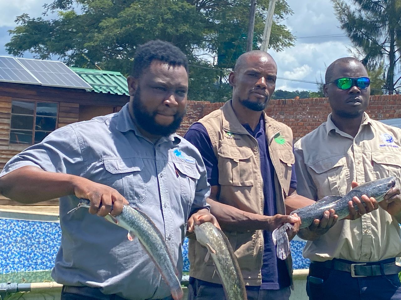 NEW: Local firm donates 80 000 fingerlings to boost Presidential Fisheries Scheme