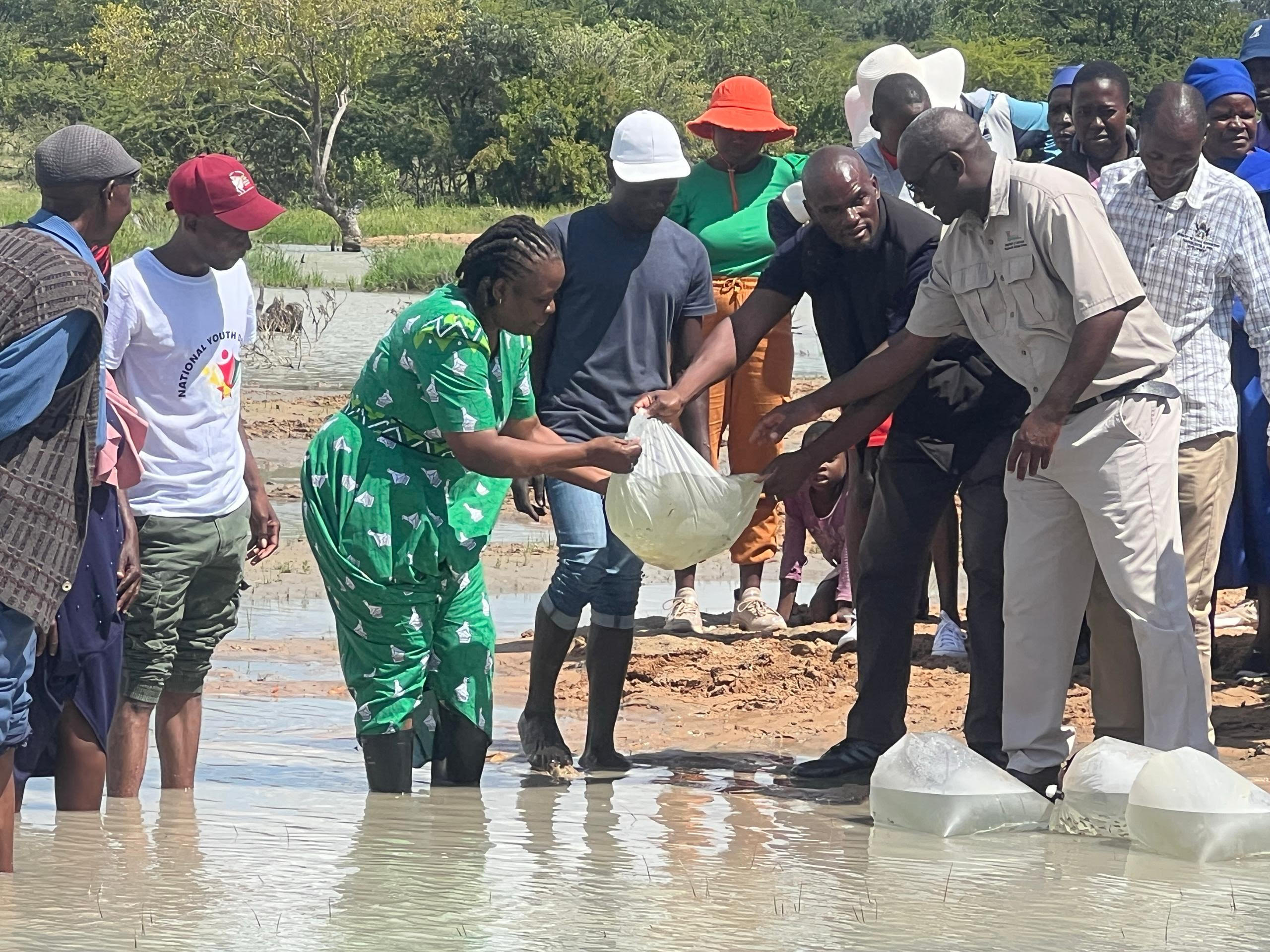 NEW: Tsholotsho receives 58 000 fingerlings to boost fisheries