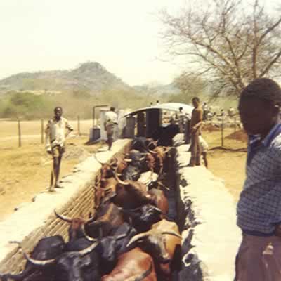 Kraal irrigation scheme hit by financial problems