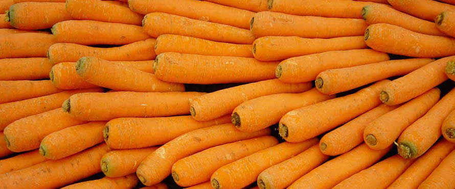 10 things you didn’t know about carrots