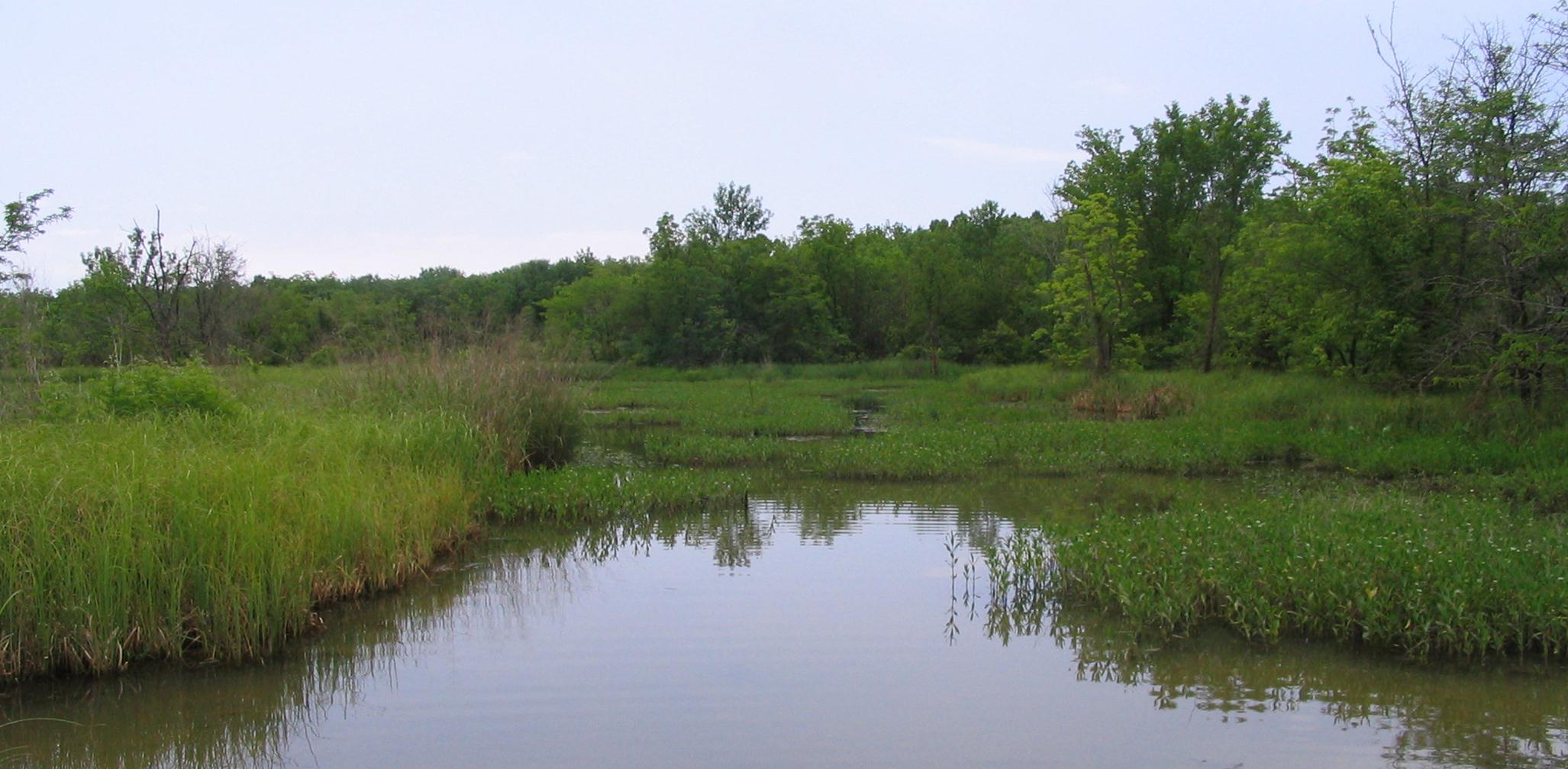 Illegal settlements, wetlands and flooding…How poor urban planning is affecting resource distribution