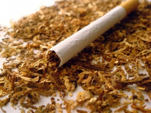 Tabacco major cause of cancer in Zim: Report