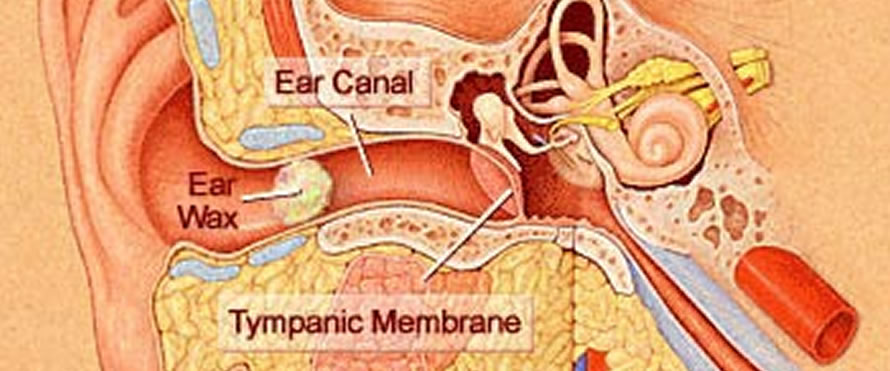 Earwax baenefits: Why your ears need wax