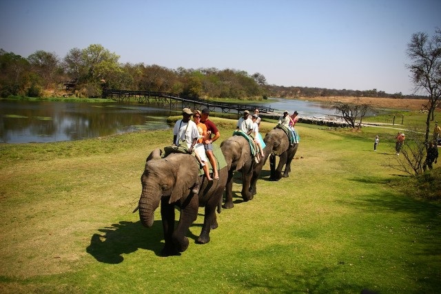 Antelope Park — the heart of Africa