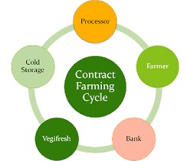 Gvt intensifies on contract farming