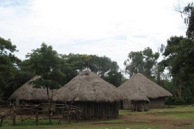 settlements: Differentiating between ixhiba and umuzi