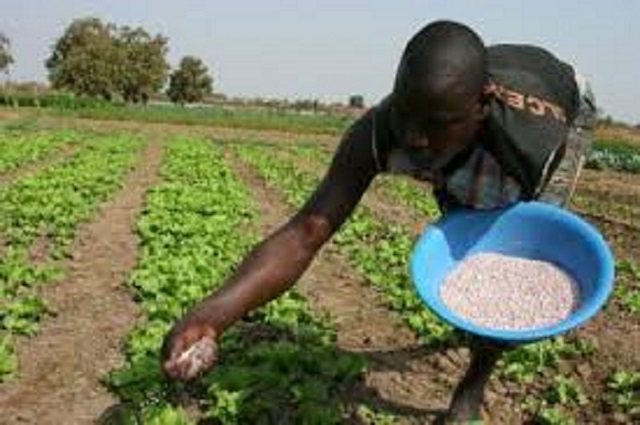 Farmers urged to adhere to proper crop management practices