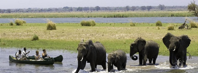 Mana Pools, Zimbabwe’s natural gem
