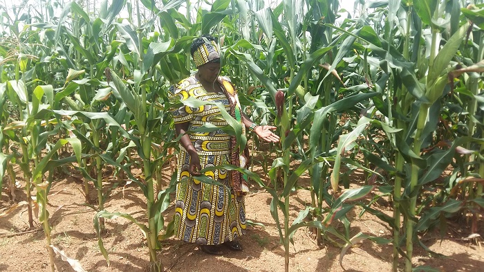 Insiza takes climate change head-on