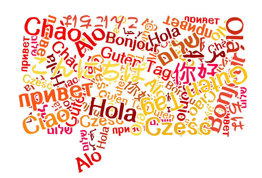 Guidelines to better language, literature answers