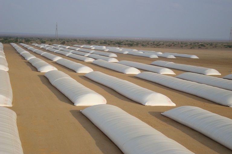 GMB starts distributing grain storage bags