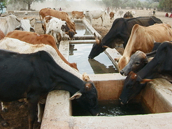 Farmers should self-finance their water systems