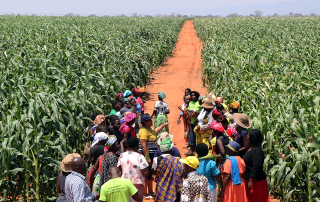 First Lady commended for spearheading Binga irrigation