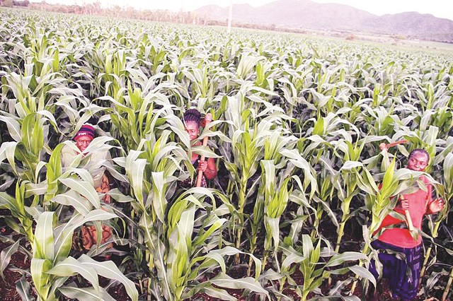Command Agric charms IMF