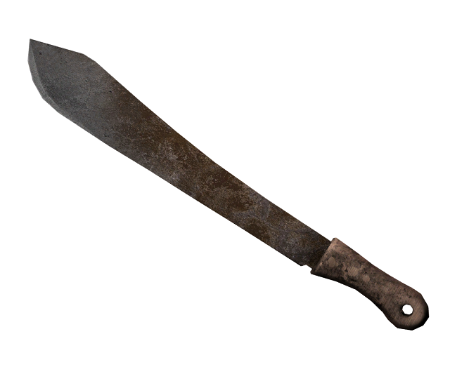 Teacher battling for life after machete attack