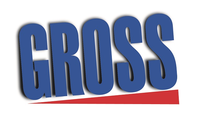Gross insurance premiums up by 13pc