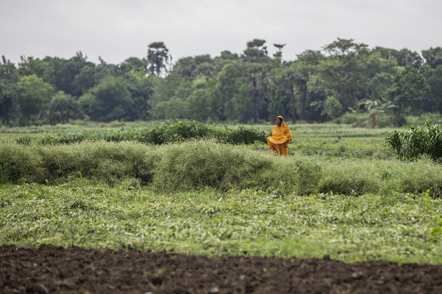 Land ownership and use underpins Africa’s development: Analysis