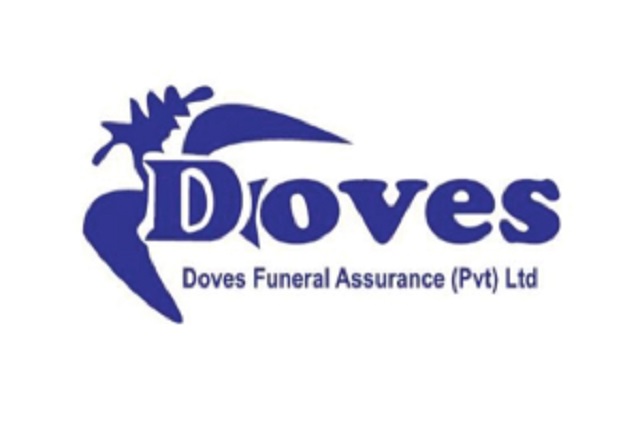Doves’ investment starts to pay dividends