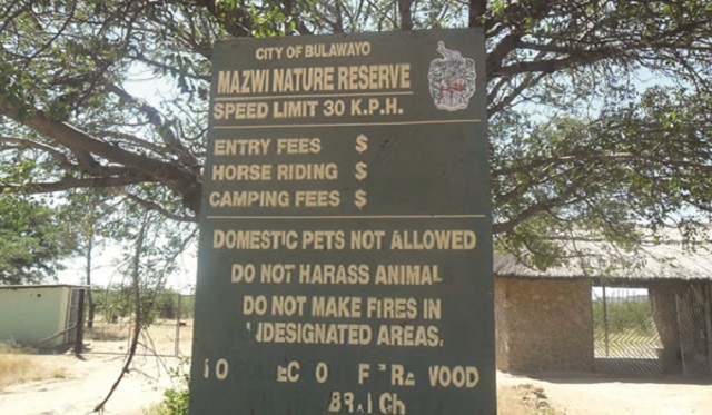 Council seeks partners to revive parks