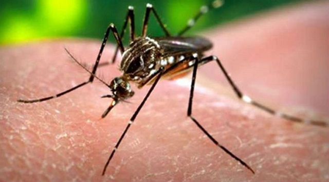 Concern over increase in malaria cases
