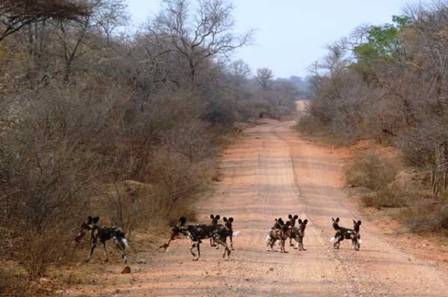 EU avails $14m to conservancy