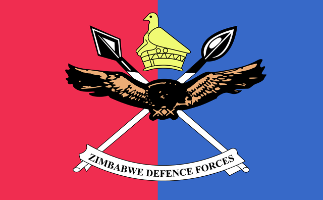 ZDF to host community assistance programme