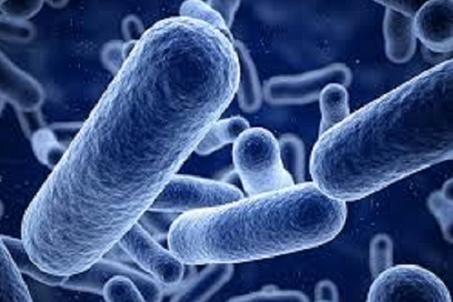 Diarrhoea outbreak in Bulawayo: 1000+ cases reported