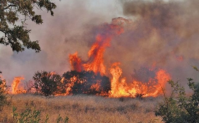 Manicaland has been urged to intensify veld fire prevention activities as six districts have been classified as extremely vulnerable to uncontrolled fires