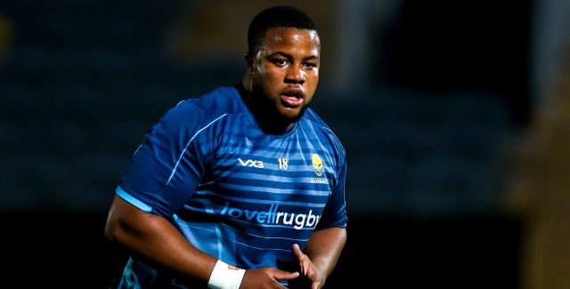 Worcester Warriors debut excites Sables prop Mudariki
