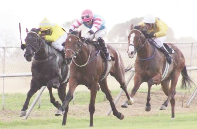Gold Sprint preparations in full swing