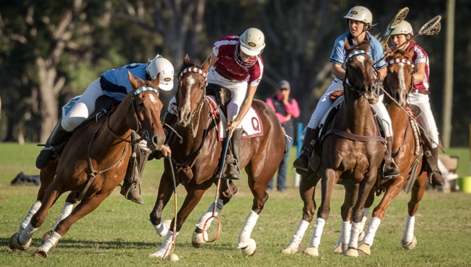 Zimbabwe poised for Polocrosse World Cup