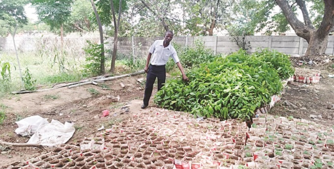 Conservationist with a passion for trees