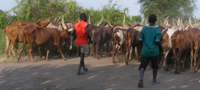 Staff development critical for your stockmen