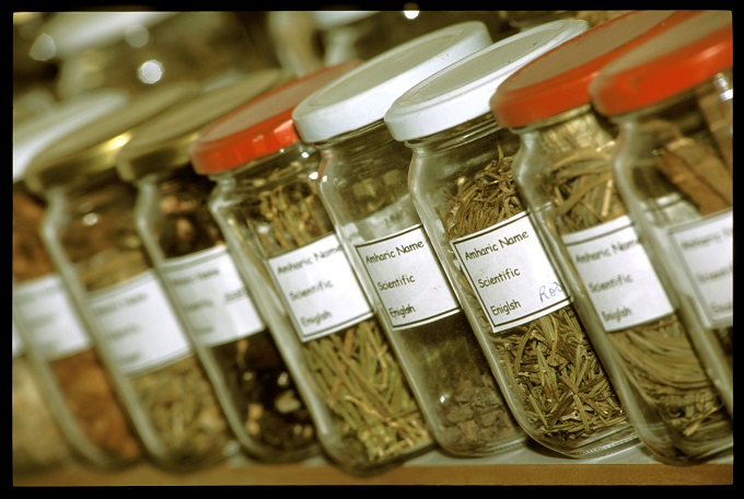 Traditional veterinary medicines should be promoted