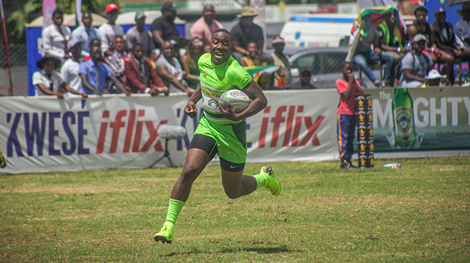 Cheetahs off to perfect start