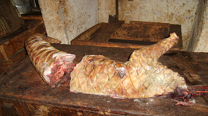 Trio nabbed over pangolin carcass