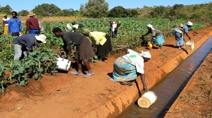 Arda intensifies rural development