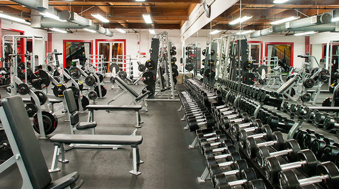 Free weights versus machines